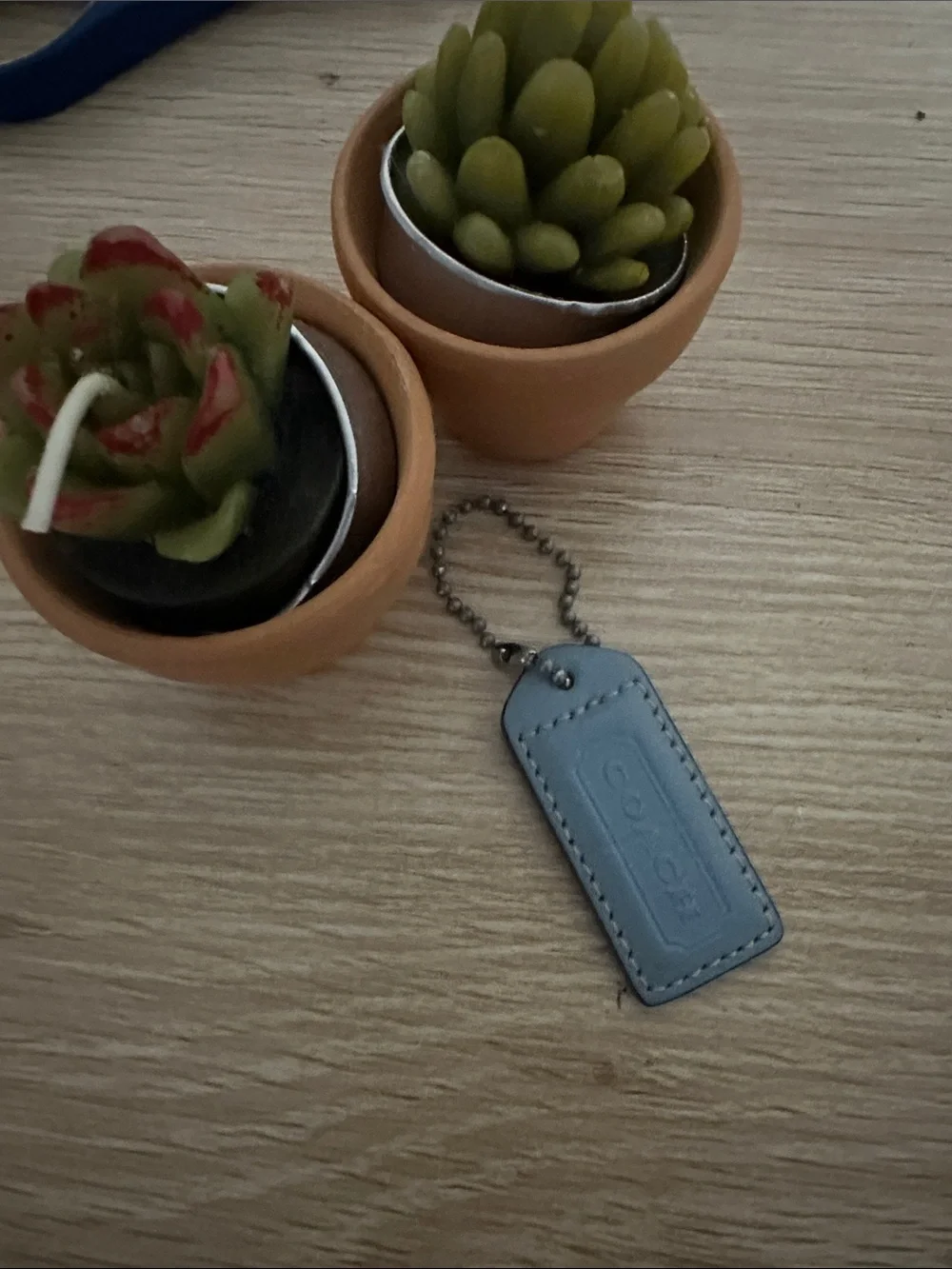 Authentic Coach Reversible Leather Hangtag Tan Light Blue with original chain